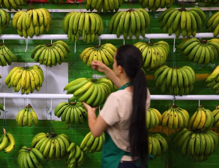 Gestión del Riesgo Social y Ambiental