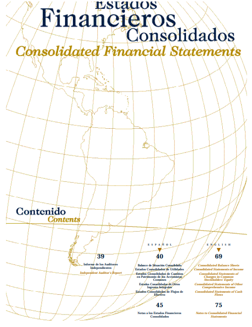 Financial Statements 2001