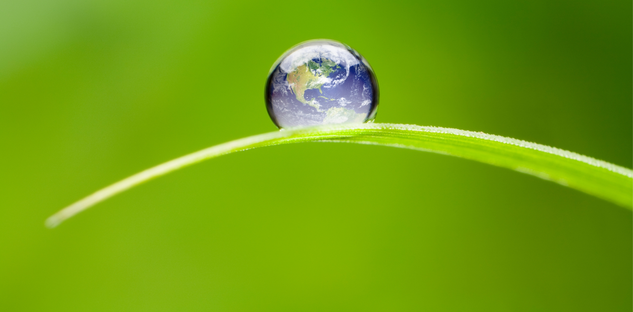 Bladex Website_Sustainability-Divider-26.jpg